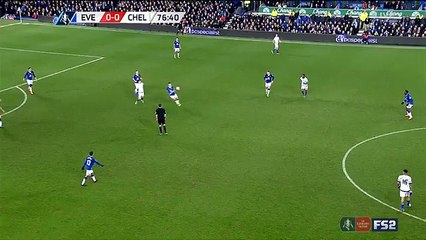 Romelu Lukaku scores one of the greatest FA Cup goal v Chels.