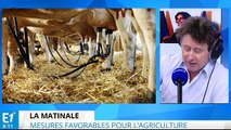 Crise agricole : la France a mis la pression sur Bruxelles