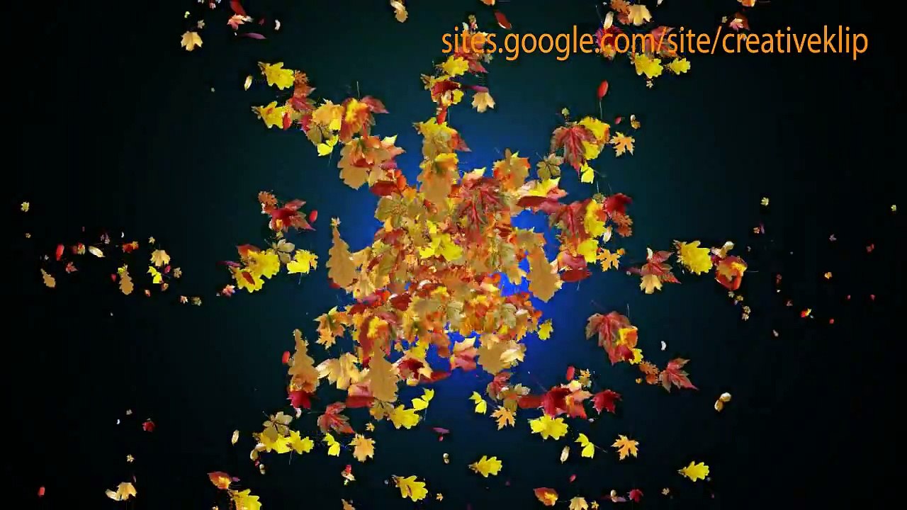 Футажи для видеомонтажа Footage Space Leaves !