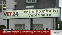 Pas si bêtes: les centres hospitaliers vétérinaires