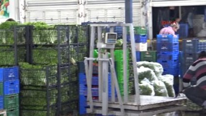 Antalya Yaz Meyveleri Gramla Satılıyor