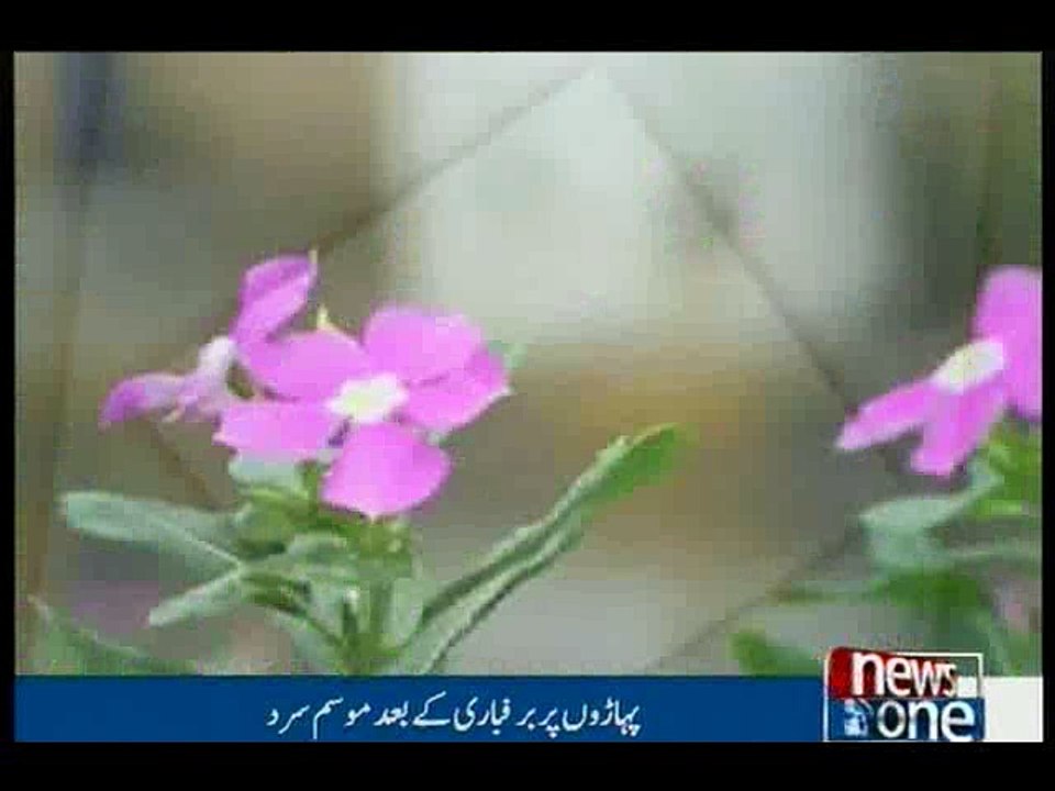 Pakistan Weather Report