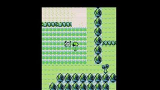 H1 P5 Pokemon Yellow