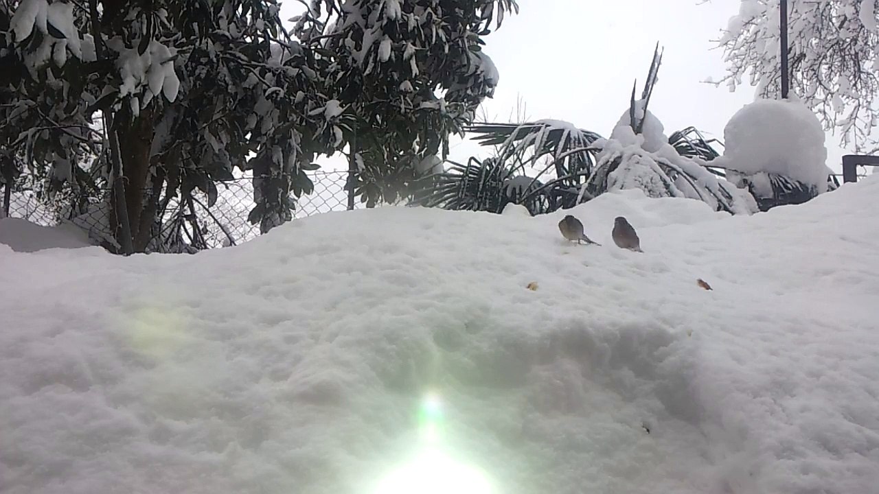 20160126_145919