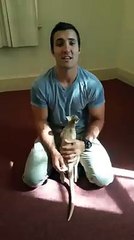 Un policier adopte un bébé kangourou qui vient de perdre sa mère