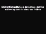 Download Into the Mouths of Babes: A Natural Foods Nutrition and Feeding Guide for Infants