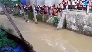 Detik detik Terjadinya Bripda Suryo Hampir Tewas Terseret Air Sungai