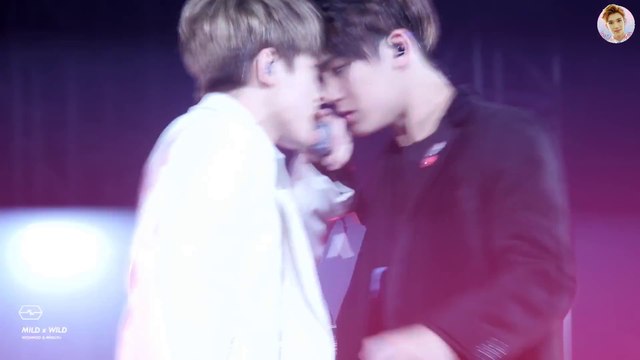 SEVENTEEN (세븐틴) Mingyu & Wonwoo - Meanie Moments