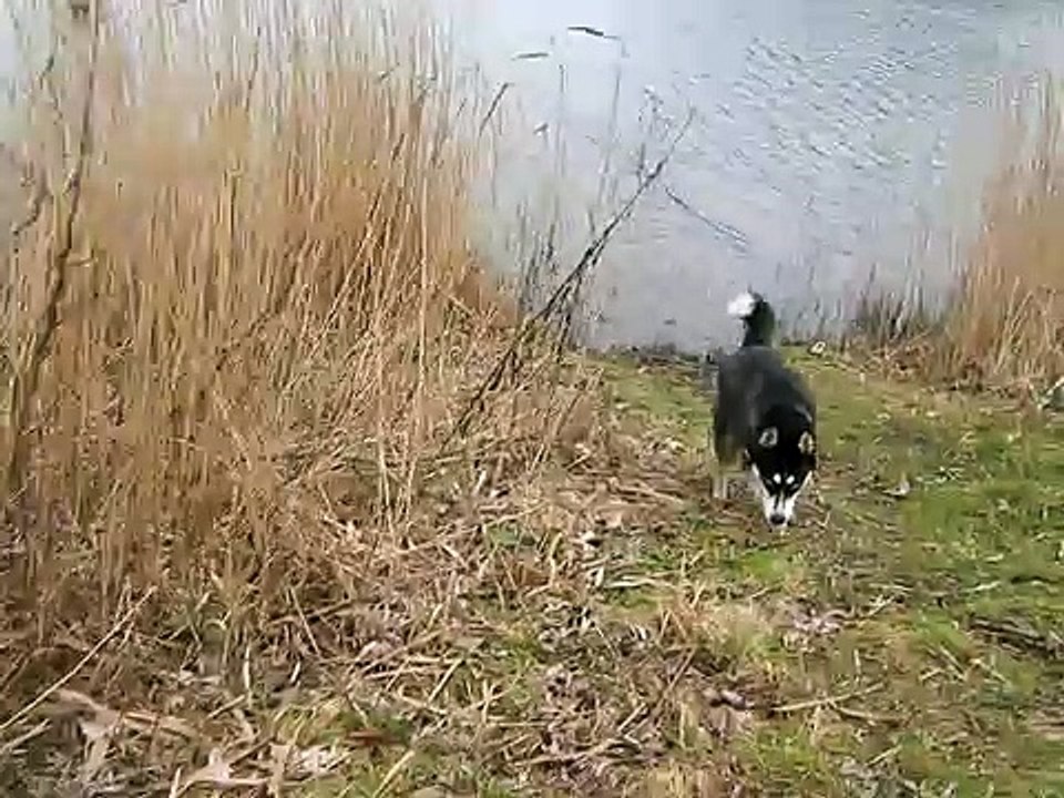 wasser3.avi