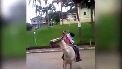 Cet homme en état d'ébriété essaye de monter à cheval... Il le regrettera amèrement. Regardez !