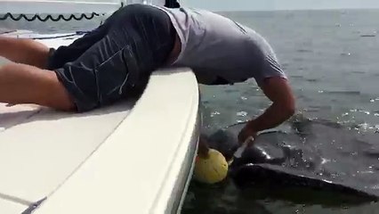 A 3 km dalla costa un poliziotto nota qualcosa di strano nell'acqua. Quello che fa è incredibile!