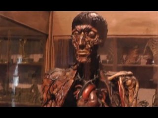 Napoli - Inaugurato il Museo Anatomico (14.03.16)