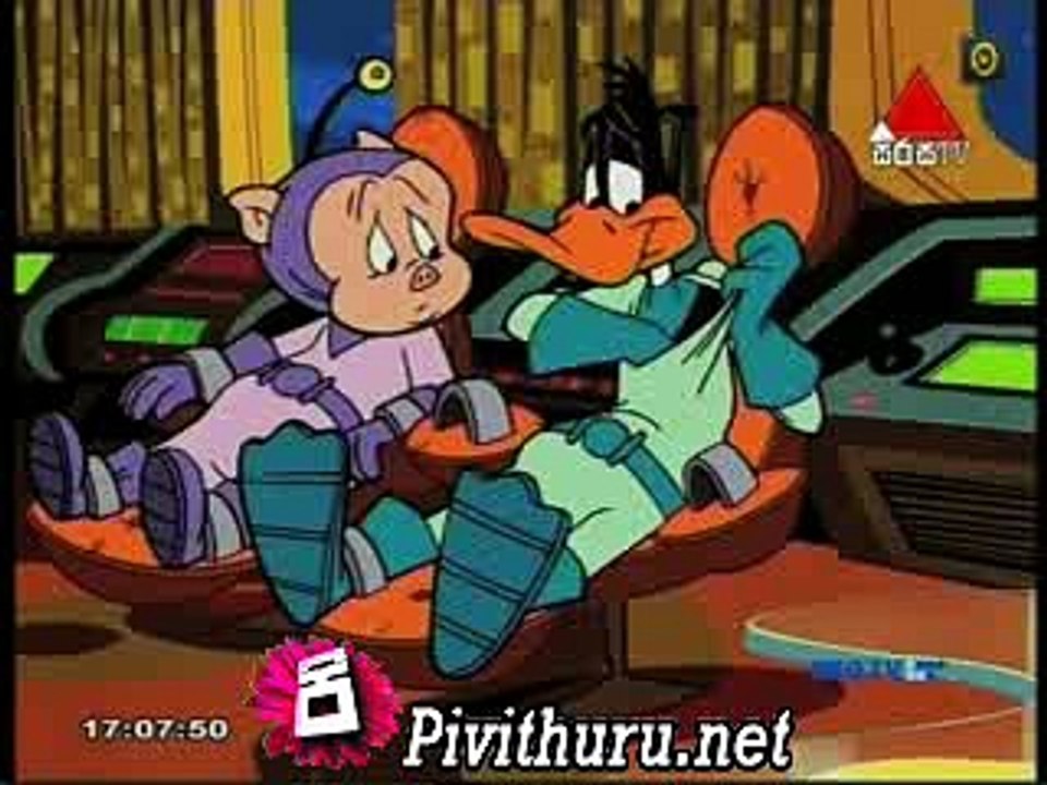 duck  14.03.2016