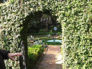 How to Become a Professional Garden Designer?