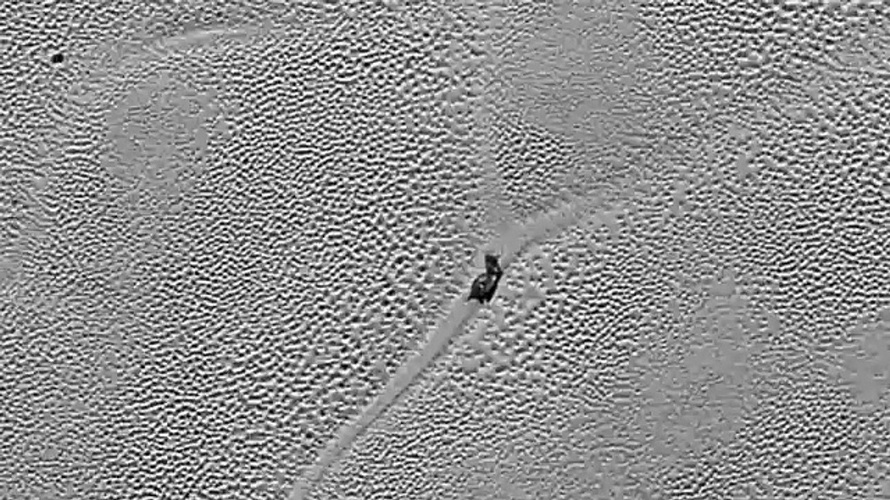 Snail on Pluto ? Mysterious new image shows strange object sliding across dwarf planets i