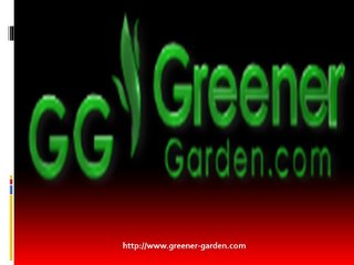 Buy Battery Chargers Online
