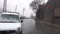 Bitlis?e Mart Karı
