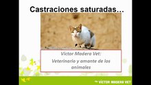 Victor Madera - La castración: ¿salubridad o ética?