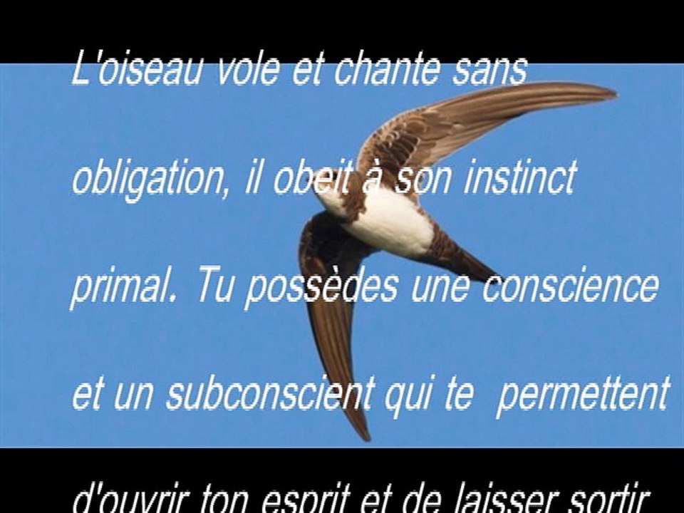 LE COURAGE