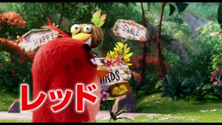 The Angry Birds Movie Japan tv spot