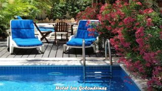 Hotels in Playa del Carmen Hotel Las Golondrinas Mexico
