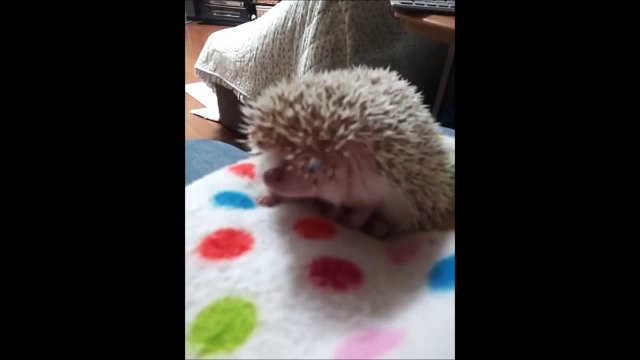 130105 NMB48 西澤瑠莉奈 あんじゅⅡ気長に見て下さいm m