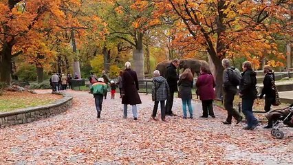 Berlin Vacation Travel Guide - Expedia