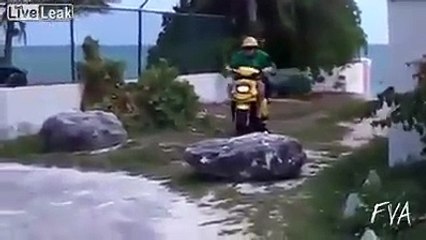 ضحكة بلا منازع هههههه إلي ركب الفيديو هذا مطلوب حي أو ميت