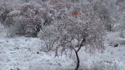 Nevşehir Çiçek Açan Ağaçlara Kar Yağdı