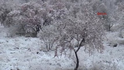 Nevşehir Çiçek Açan Ağaçlara Kar Yağdı