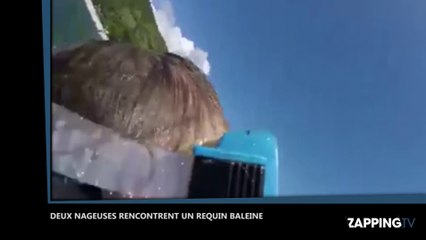 Deux nageuses se retrouvent face à un requin baleine, les images impressionnantes (Vidéo)
