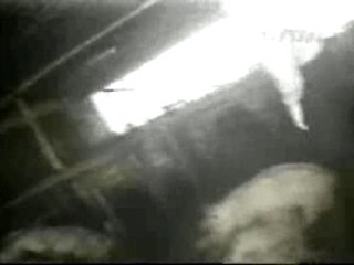 Goldfinger - Free Me (MPG video clip, 2m29s, PETA) (www.clip