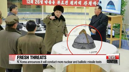N. Korea has not mastered missile re-entry technology: defense ministry