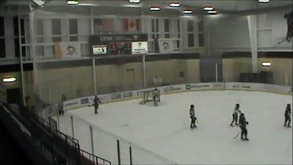 Renegades U19 at Wildcats 1-31-16 Pd 2