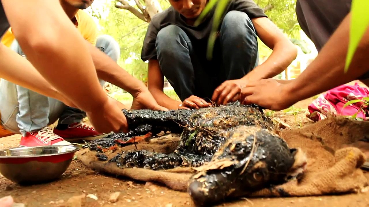 Covered in tar & unable to move, this amazing rescue saved this dog's life!