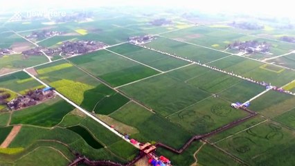 Villager carves giant cartoon characters in flowers fields