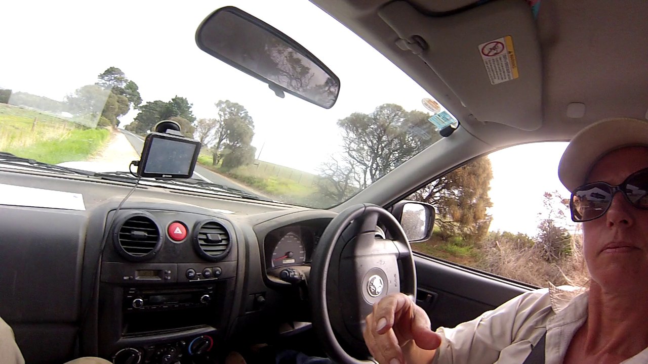 Red belly in car while driving!!