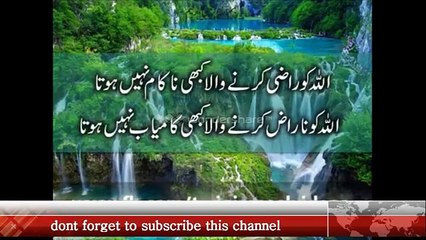 Hazrat ali R Aka apnay batay ko naseehat by maulana tariq jameel