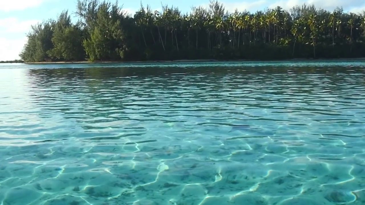 Jay Alvarrez - Girl Of My Dreams