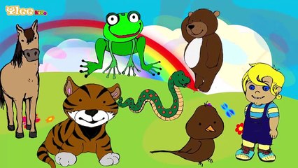 Die Lieder der Tiere Canzone degli animali Zweisprachiges Kinderlied Yleekids