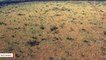 Mysterious Fairy Circles Pop Up In Western Australia
