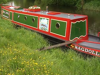 Rosie and Jim 818 - Little Ducklings