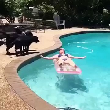 Собака прыгает на девушку в бассейне Прикол