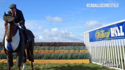 ¿Te consideras elegante? Este caballo te hará volverlo a pensar