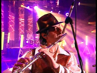 Мельница - Прялка (Дикие травы. Олимпийский)