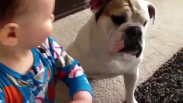 ОЧЕНЬ СМЕШНЫЕ ПРИКОЛЫ С ЖИВОТНЫМИ 2015 FUNNY JOKES WITH ANIMALS