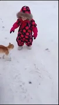 Рыжий КОТ Борцуха бросил малыша через себя , лучщие приколы с животными 2015