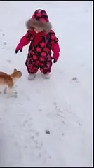 Рыжий КОТ Борцуха бросил малыша через себя , лучщие приколы с животными 2015