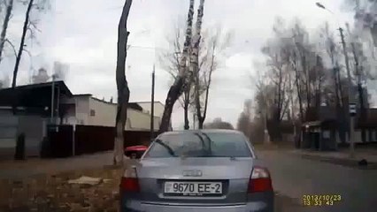 Дерево упало на машину