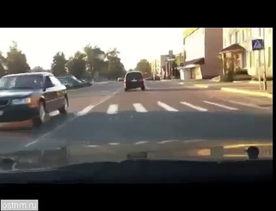 Кот граммотный пешеход